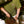 CHORAKU IN THE HOOD TEE OLIVE