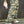 HWC WASHED CAMO BAGGY SWEAT PANTS