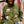 Patched Logos Nylon Mountain Jacket, Olive