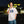 TOKYO BAY AREA T-SHIRT WHITE