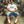 WIRED RIDER LOGO TEE WHITE