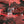 DAMAGED BOMBER JACKET RED CAMO